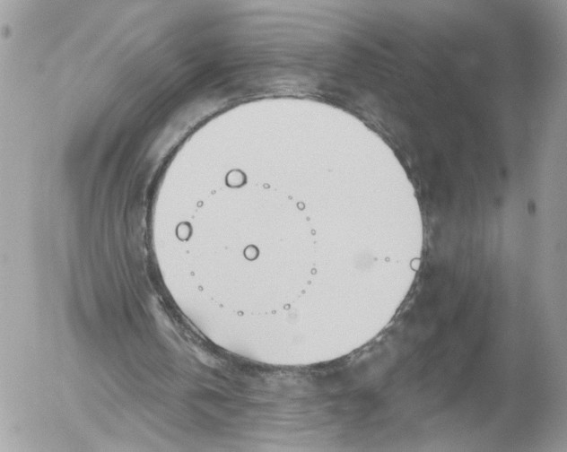 X0000052540146200507221434