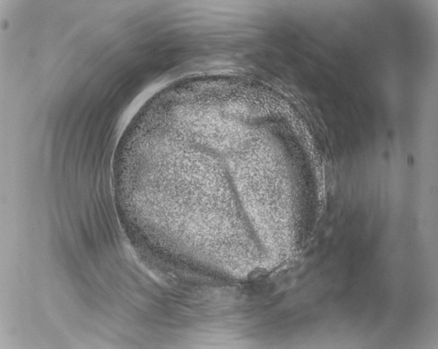 X0000052540147200507221434