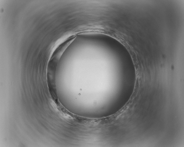 X0000052540148200507221434