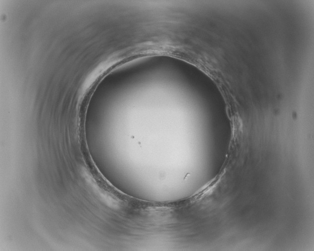 X0000052540150200507221434