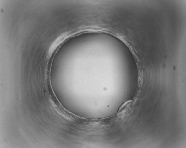 X0000052540151200507221434