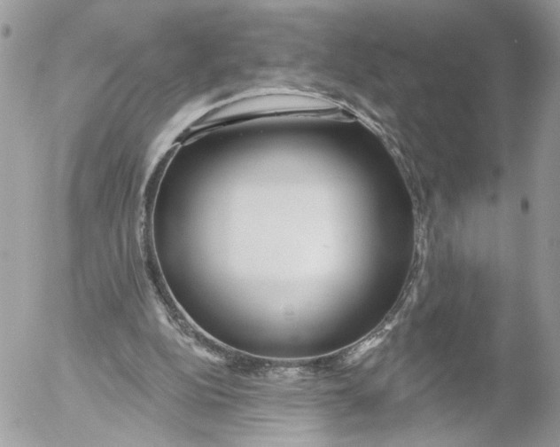 X0000052540152200507221434