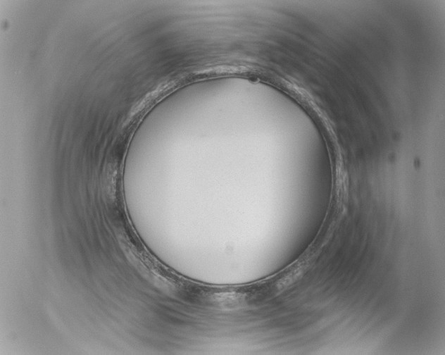 X0000052540153200507221434