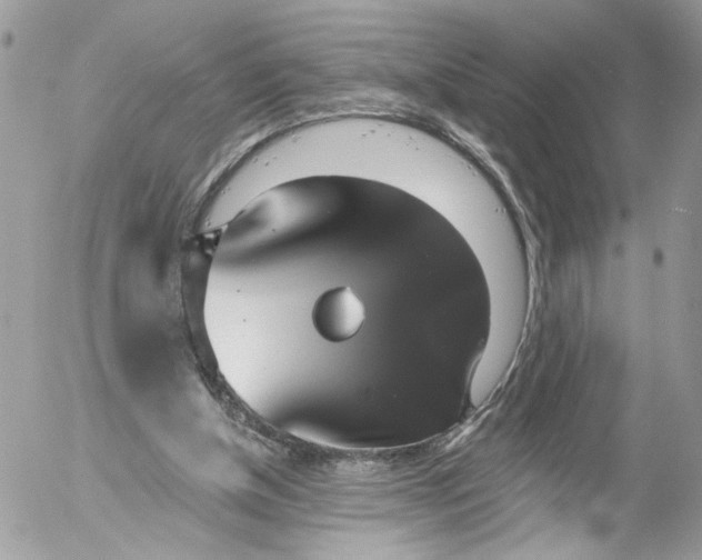 X0000052540154200507221434