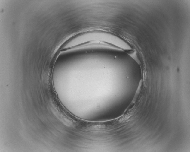 X0000052540156200507221434