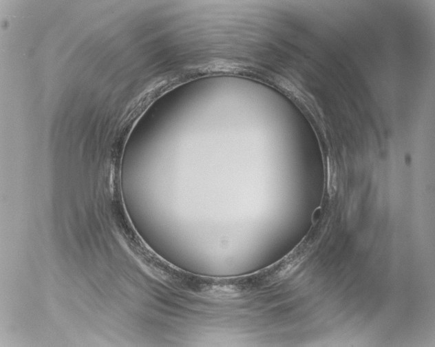 X0000052540157200507221434