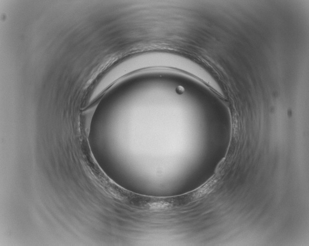 X0000052540158200507221434