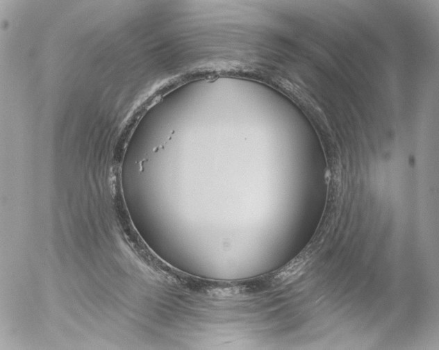 X0000052540160200507221434