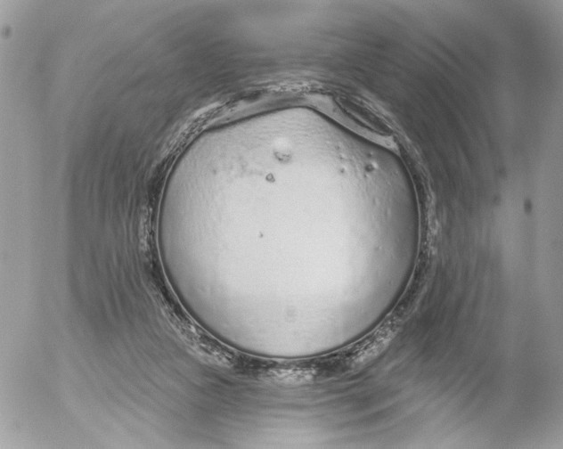 X0000052540161200507221434