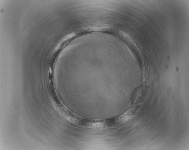 X0000052540163200507221434