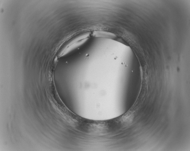 X0000052540164200507221434