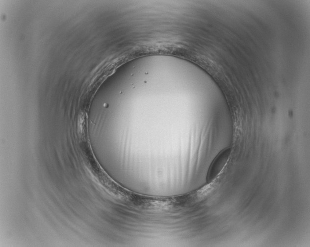 X0000052540166200507221435