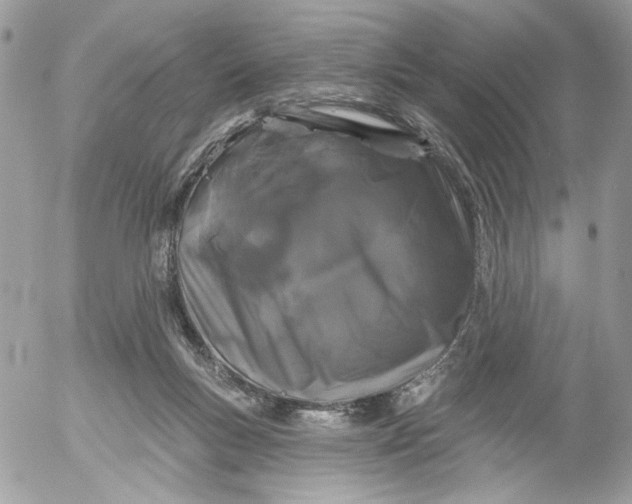 X0000052540167200507221435