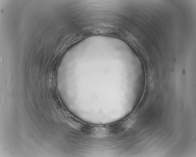 X0000052540169200507221435