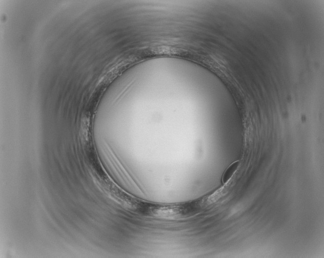 X0000052540171200507221435