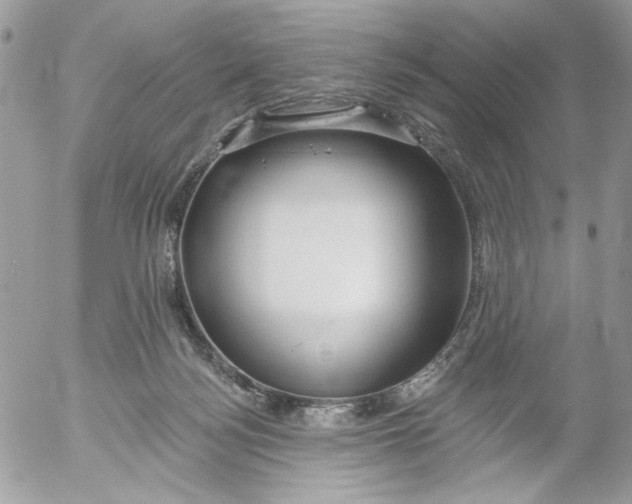 X0000052540172200507221435