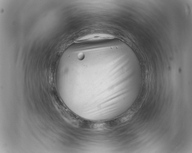 X0000052540173200507221435