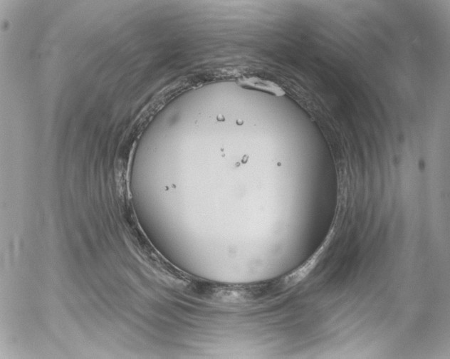 X0000052540174200507221435