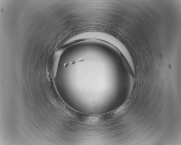 X0000052540176200507221435