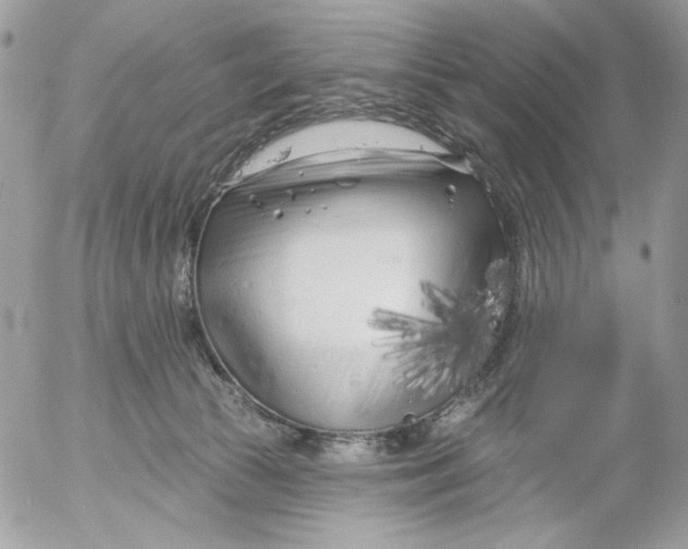 X0000052540177200507221435