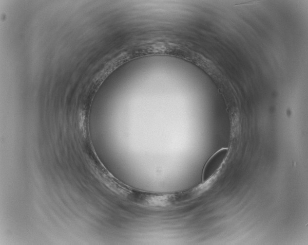 X0000052540178200507221435