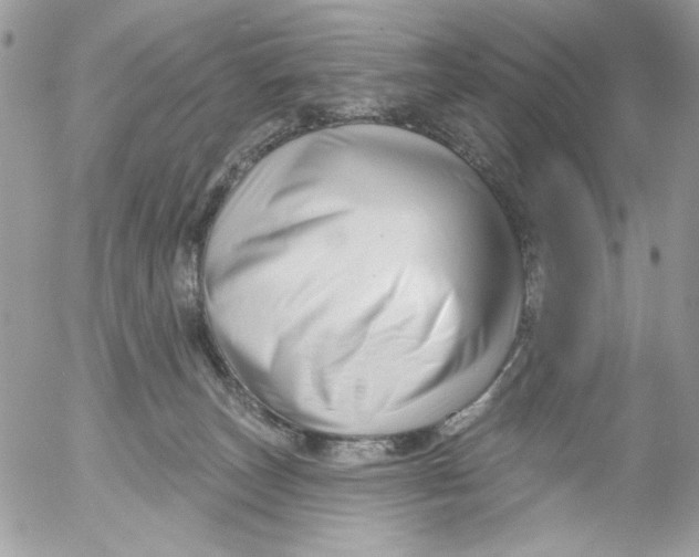 X0000052540179200507221435