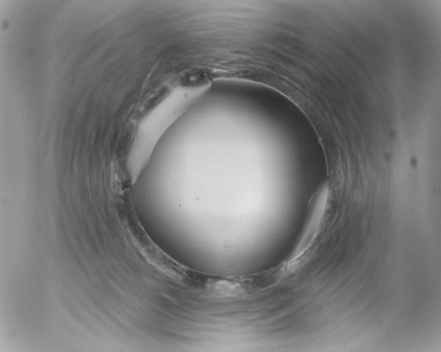 X0000052540180200507221435