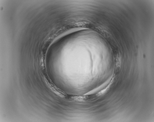 X0000052540182200507221435