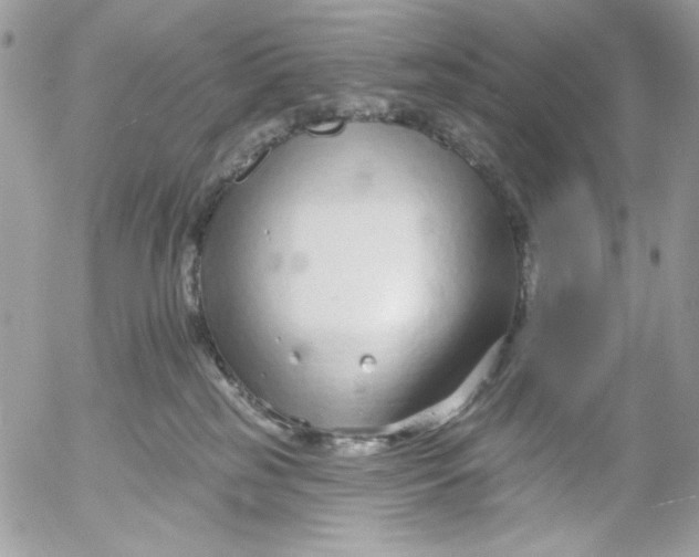 X0000052540185200507221435