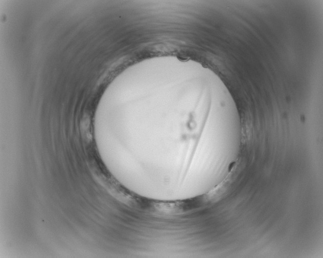 X0000052540187200507221435