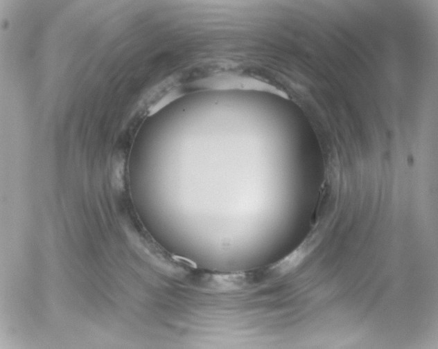 X0000052540188200507221435