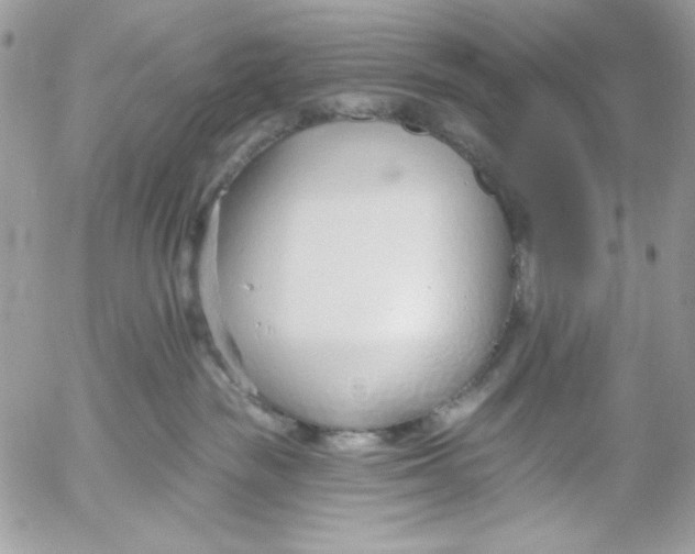 X0000052540189200507221435