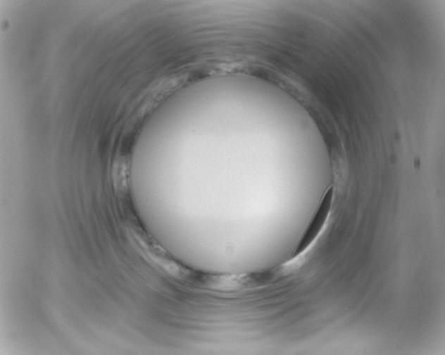 X0000052540191200507221435