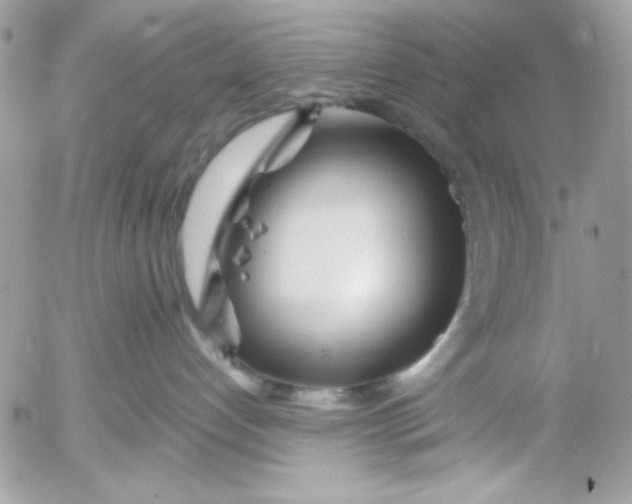 X0000052540192200507221435