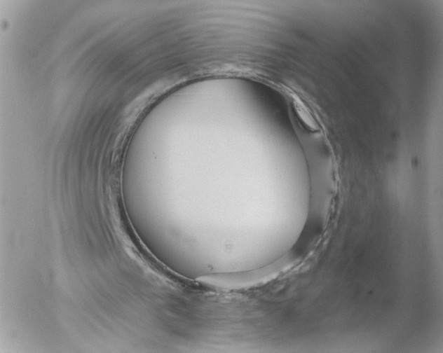 X0000052540193200507221434