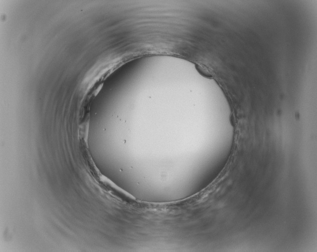 X0000052540194200507221434