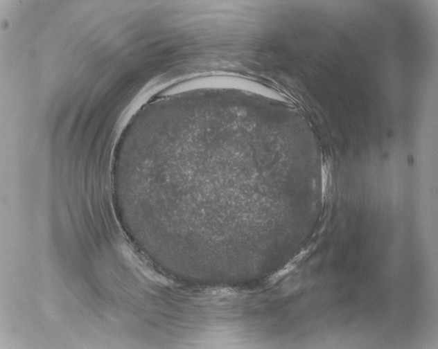 X0000052540195200507221434