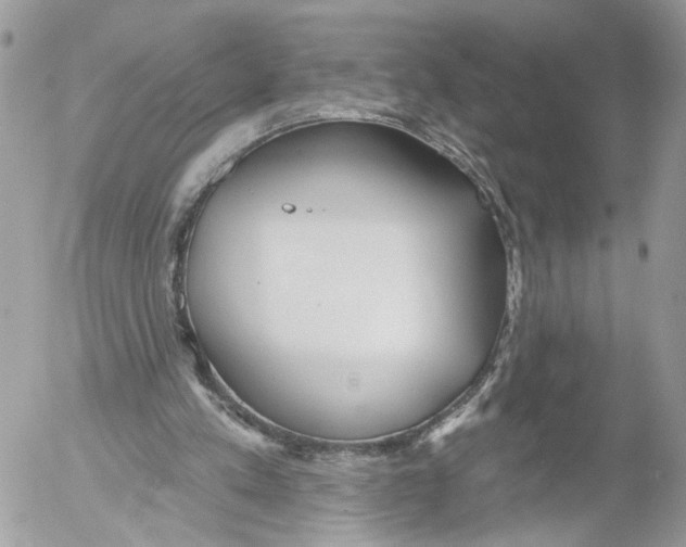 X0000052540197200507221434