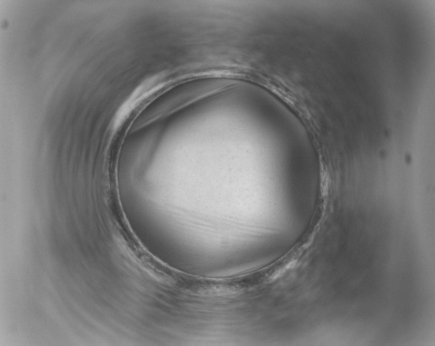 X0000052540198200507221434