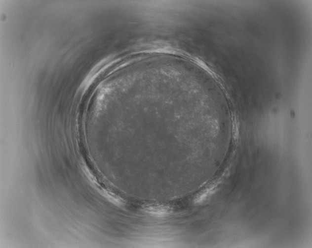 X0000052540199200507221434