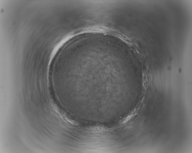 X0000052540200200507221434