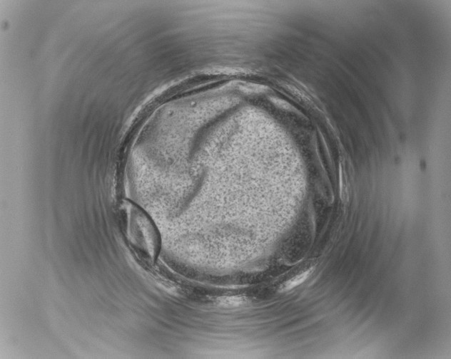 X0000052540204200507221434