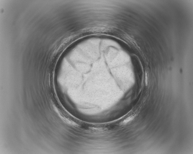 X0000052540205200507221434