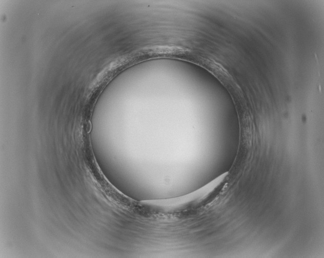 X0000052540207200507221434