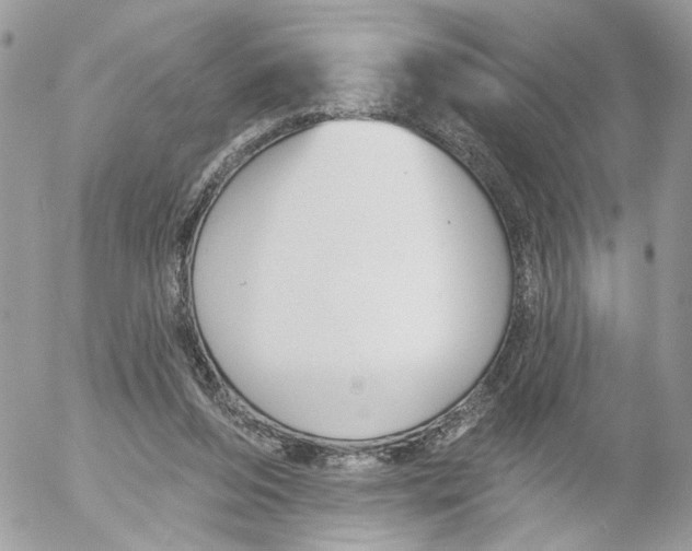 X0000052540208200507221434