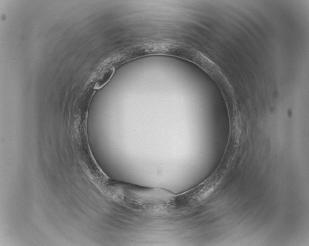 X0000052540209200507221434