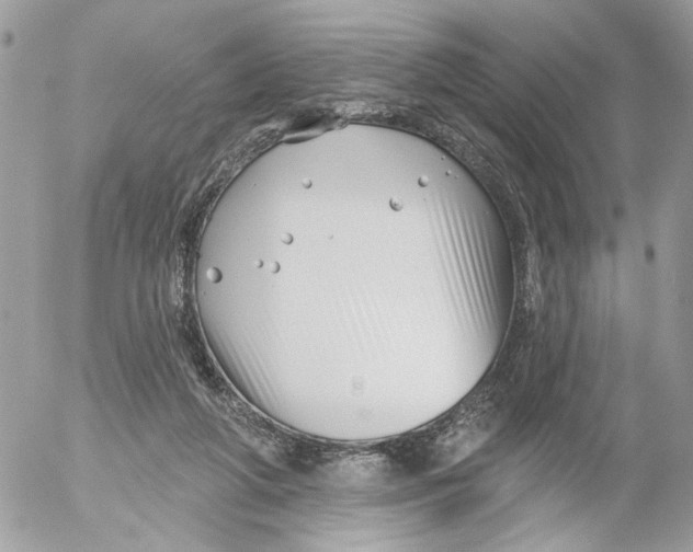 X0000052540210200507221434