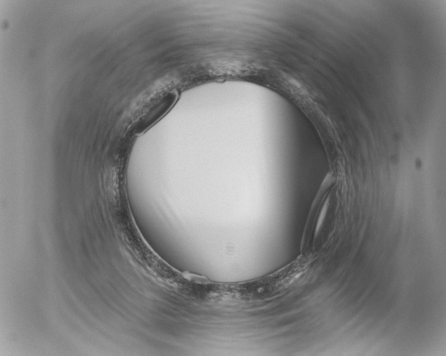 X0000052540211200507221434