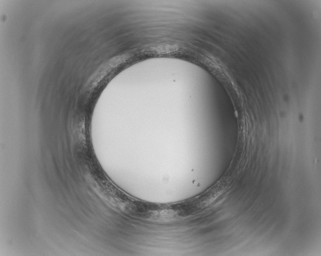 X0000052540212200507221434