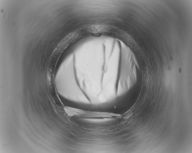 X0000052540214200507221434